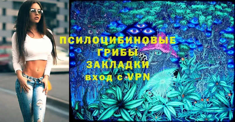 Галлюциногенные грибы Psilocybine cubensis  Туран 